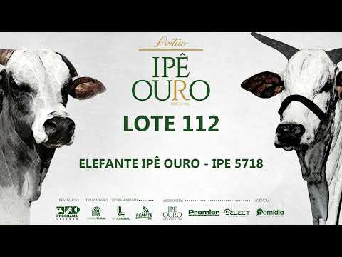 LOTE 112   IPE 5718