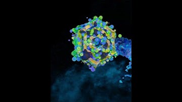 Glitchmachines - Creative Audio Software & Sound Effects