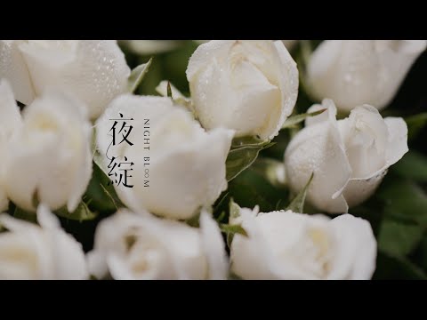 2022 夜綻，來自氣味與舞蹈的想像  |  P.Seven X 精靈幻舞
