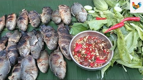 Giăng Lưới Bắt Cá Nướng Mọi Giữa Đồng Quê Mùa Nước Nổi Đậm Chất Miền Tây Sông Nước#4NétĐẹpĐồngQuê