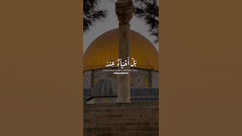 ارح سمعك وقلبك ❤ طارق محمد quran quran kareem ارح قلبك قران كريم غزة