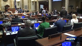 Louisville lawmakers preview their top priorities ahead of 2024 general assembly
