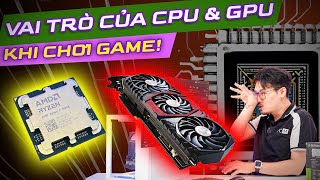 Vì Sao VGA Quan Trọng Để CHƠI GAME? CPU Làm Việc Gì?