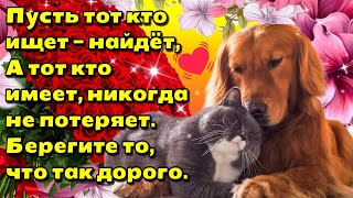 ☕🌞Самого доброго весеннего утра!💗Благословенного дня!💗Красивая музыкальная открытка🌼