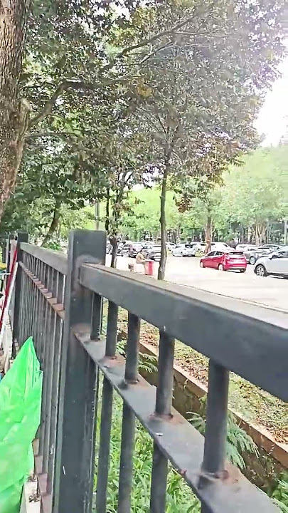 Viral Hari ini! Langsung dari GBK Perangkat Desa #short #video #shorts