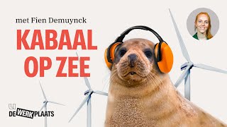 Waarom de zee ook last heeft van windmolens