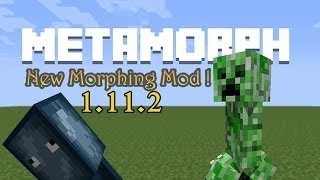 🐩Как установить мод metamorph на майнкрафт 1.12.2🐩