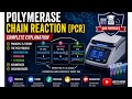 Polymerase Chain Reaction (PCR) Explained: A Powerful DNA Amplification Tool