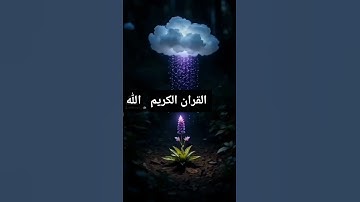 القرآن الكريم #الرحمن #المصحف #اكسبلور #تلاوات_رائعة