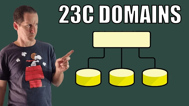 A first look at DOMAINS in 23c/23ai - 天天要聞