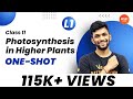 Photosynthesis in Higher Plants ONE-SHOT(EP-1)| NCERT Biology Class 11 | CBSE/NEET Exam |  Amrit Sir