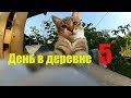 150 ведер и 55 яиц // Картофан и куры-старушки // День пятый в  поле