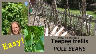 How-to make a teepee trellis for pole beans | DIY Garden tips