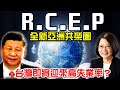 RCEP建立起的新亞洲，以及徹底邊緣化的台灣！中華民國將迎來最大失業潮？