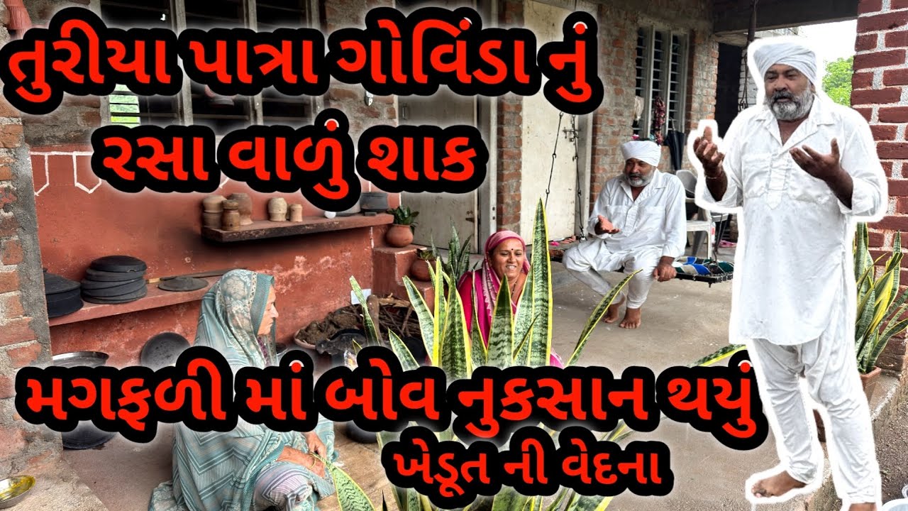 તુરીયા પાત્રા ગોવિંડા નું શાક | આવું માવઠું પેલી વાર જોયું | જાજુ નુકસાન થઈ ગયું 