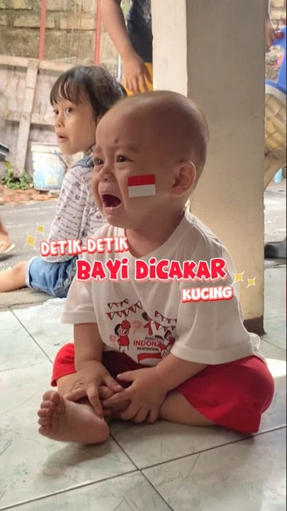 Kucingnya gak bayi friendly #masyaallahtabarakallah #baby #bayi #rakyan