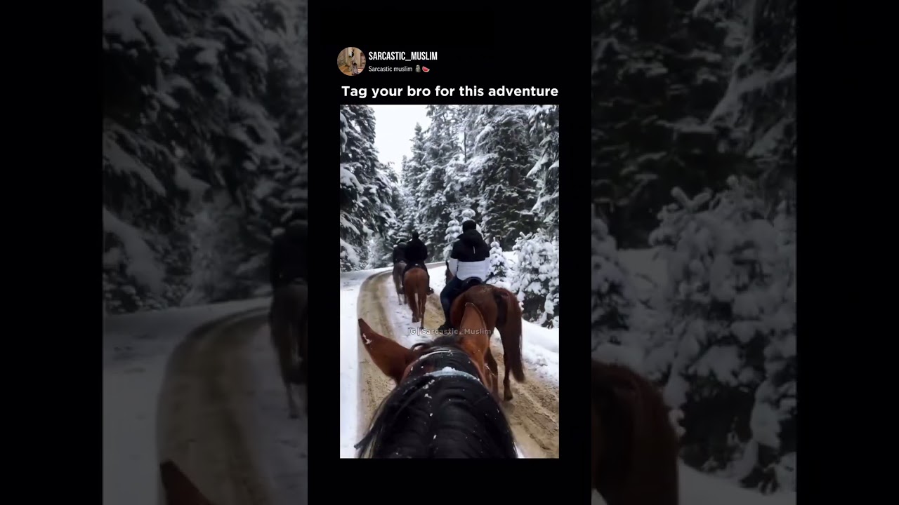 The type of adventure me and crew deserve 🥹🫀  