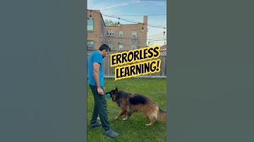 This Training Method Changed EVERYTHING!