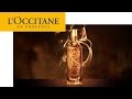 Oud & Rose, a luxurious fragrance - Middle East | L'Occitane