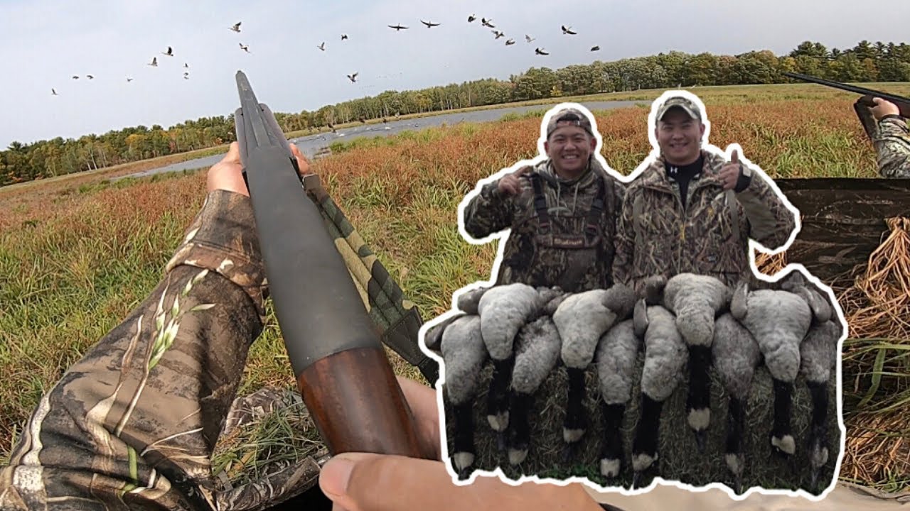 Last Day Minnesota Early Goose Hunt 2020 | Cattle Pasture Pond