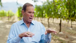The Business of Wine Video Series  Beckstoffer