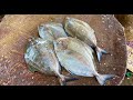 Panna Pomfret And Trevally Fish Cutting Skill/Kasimedu Fish Market