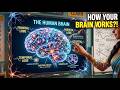 “Brain Secrets You Didn’t Know! 🧠 (Hindi)”