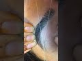 #eyebrow #beautytutorial #eyebrowtips #eyebrowsonpoint #eyebrowembroidery