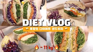 (SUB)Diet Vlog, 11kg 감량 성공