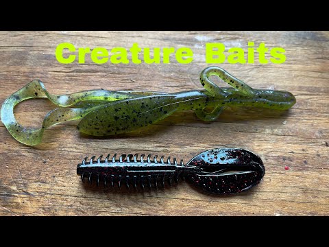 How To Rig And Fish A Creature Bait For Beginners… 