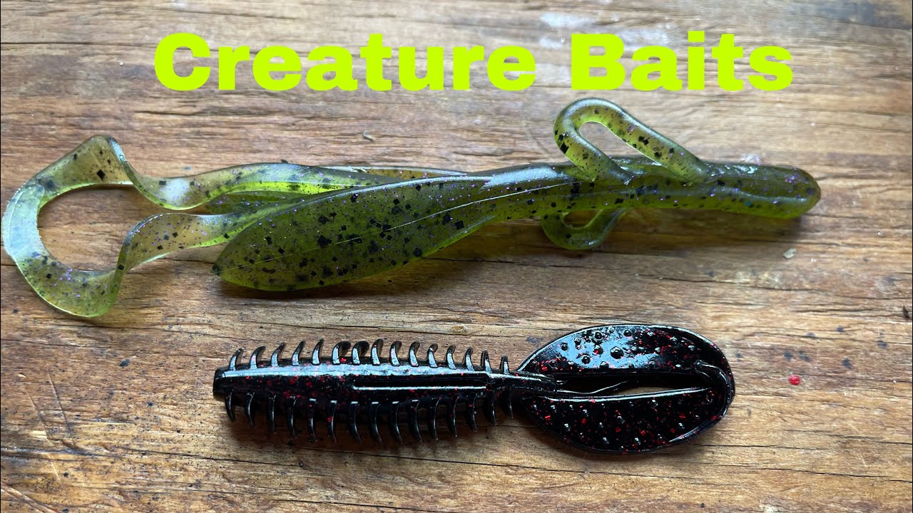 How To Rig And Fish A Creature Bait For Beginners… 