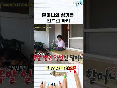 할머니의 심기를 건드린 파리...#shorts
