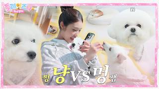 [플레이즈나] 여기가 천국이야☁️ 강아지🐾 유치원 일일 체험기 & 코롱코롱🐈‍⬛ 루삐루삐🐰 꼬마친구와 친해지기 대작전🧸 | EP.3 콘치즈 의뢰소 #1
