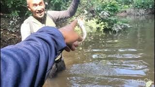 Misi mencari ikan di sungai dalam hutan