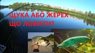 Жерех або щука - що ловити? Жор щуки восени на Десні!