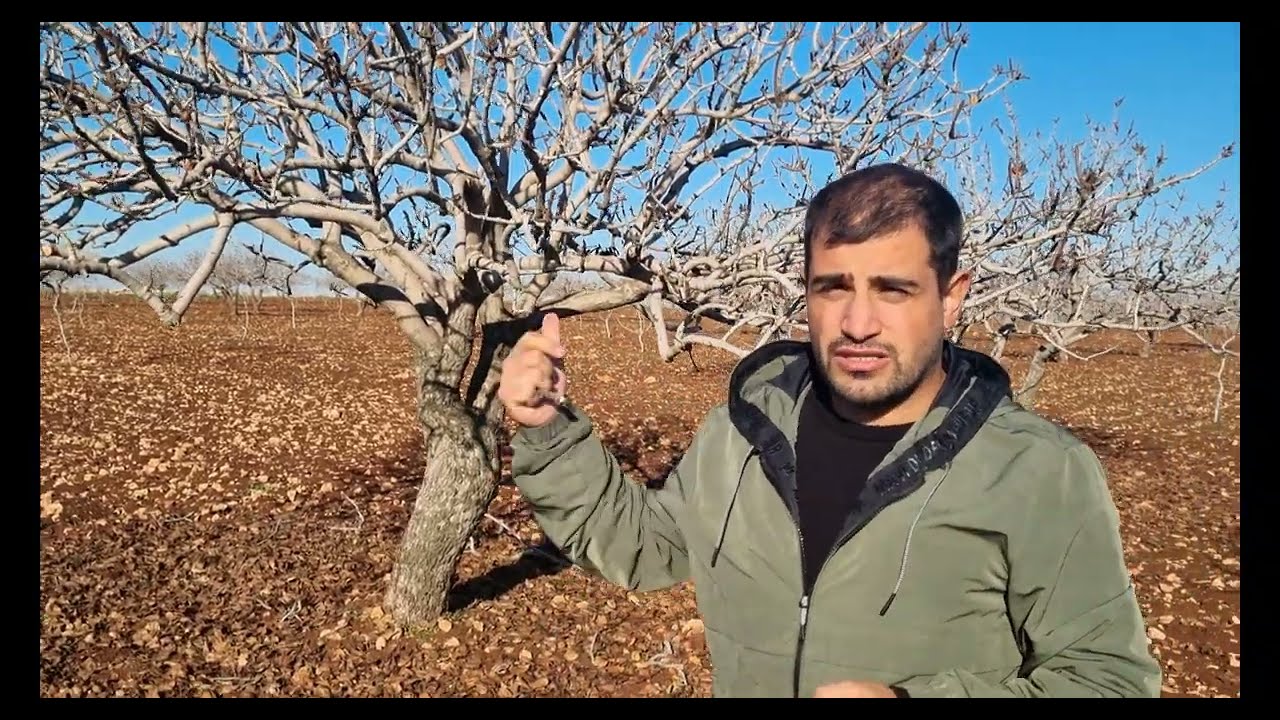 BUDAMA BİLMEMEK AYIP DEĞİL AMA BU AYIP