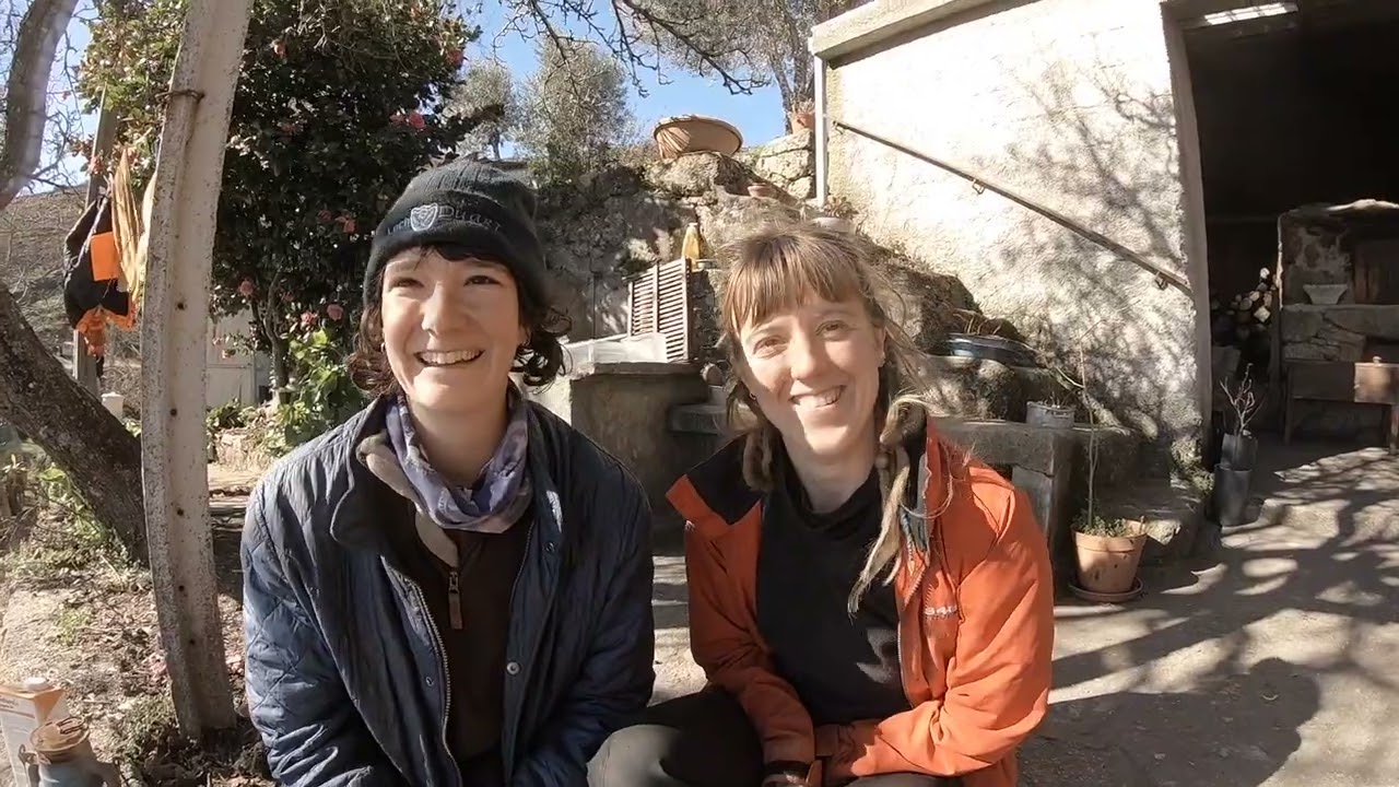 Посадка 5000 деревьев – мы делаем национальные новости! Сельская Португалия