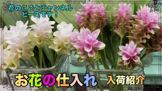 NO126 ちっちゃい木の実とソラフラワーとスモークツリー❤︎ Florist] Smoke Tree is back in stock! It's a seasonal item, so get