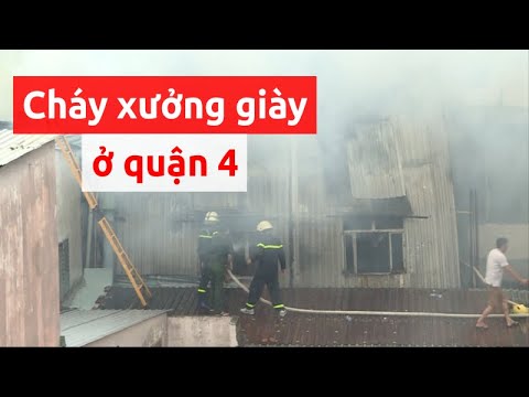 xưởng giày quận 8 - Webgiasi