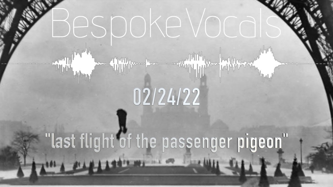 February 4 - 
