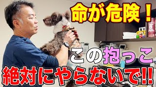 【犬　暮らし】犬の抱き方、命に関わります。