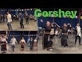 Gorshey  tibetan circle dance  sonampa losar organized by toronto pemako welfare association