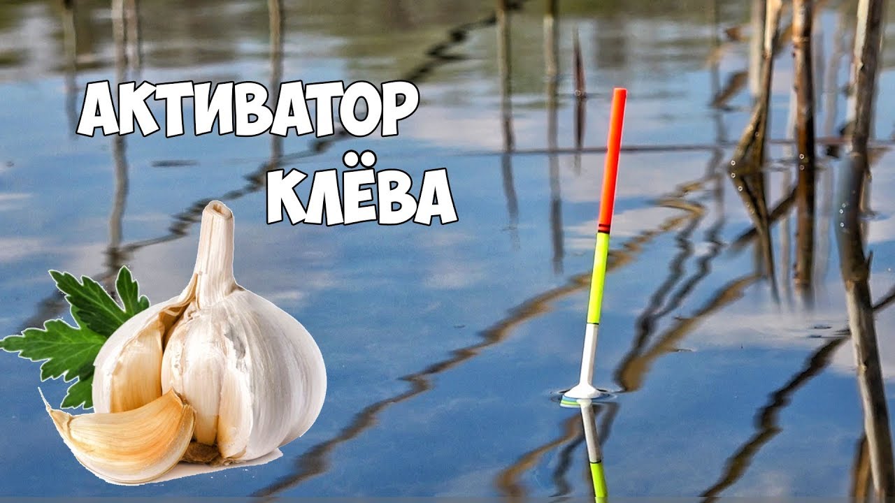 ⁣Карп и карась на чеснок!!! 100% АКТИВАТОР КЛЁВА!!! РЫБАЛКА на ПОПЛАВОЧНУЮ УДОЧКУ