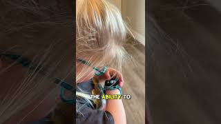 My Kids Are Loving The Ticktalk 5 Smartwatch