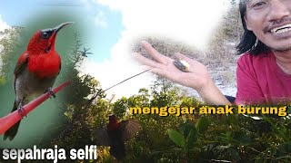 ngeBolang mikat banyak hal konyol kami temui sepah raja Selfi dan mengejar anak burung