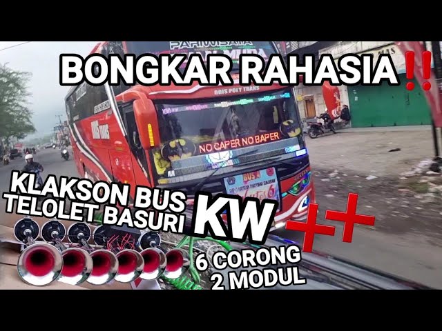 RAHASIA VIRAL DIBALIK KLAKSON BUS Om TELOLET Om BASURI V3 6 CORONG MOBIL ALPHARD ALA BRIS TRANS class=