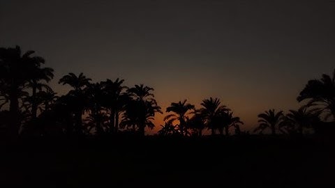 القران الكريم بصوت هادي مع غروب الشمس يا سلام🔥😊🎧❤️‍🩹