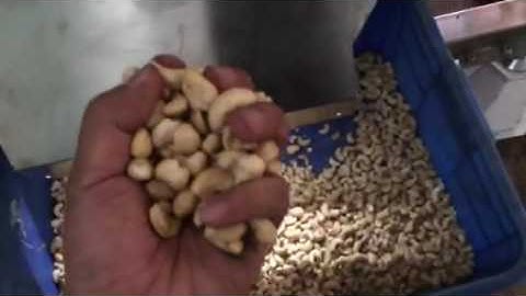 Cashew nuts sorting, Grotech Cashew nuts color sorter