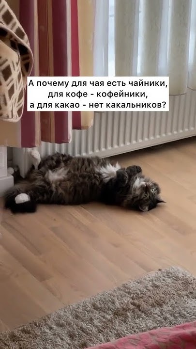 Лег спать и твои мысли в 2 часа ночи - YouTube