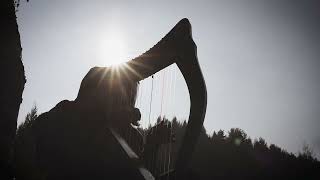 bryd one brere: English medieval song/AlnusLyra
